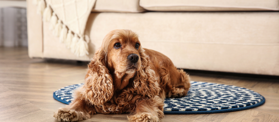 Laminate flooring